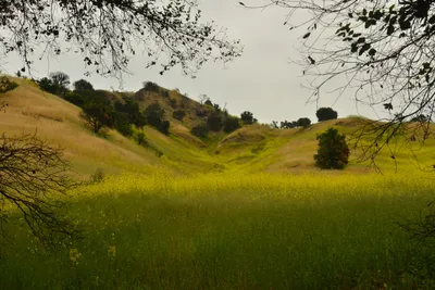 DSC_6299 (Large).JPG